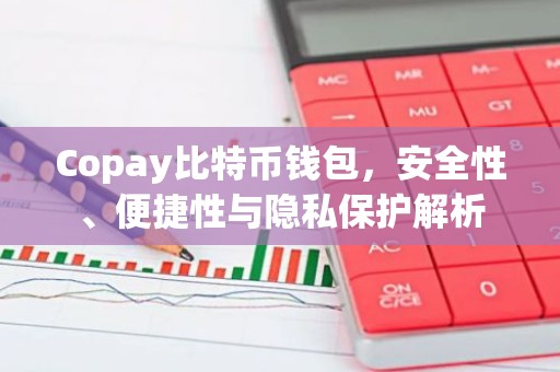 Copay比特币钱包，安全性、便捷性与隐私保护解析