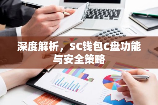 深度解析，SC钱包C盘功能与安全策略