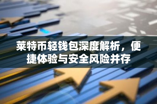 莱特币轻钱包深度解析，便捷体验与安全风险并存