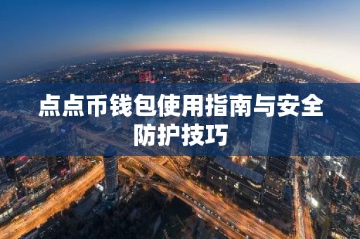 点点币钱包使用指南与安全防护技巧