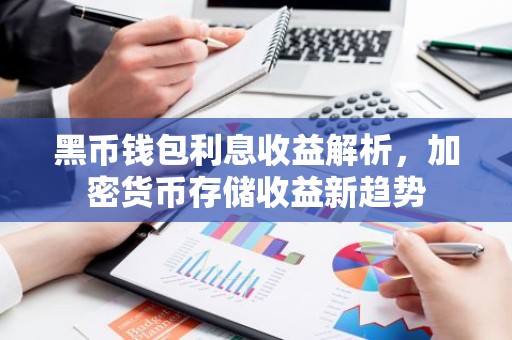 黑币钱包利息收益解析，加密货币存储收益新趋势
