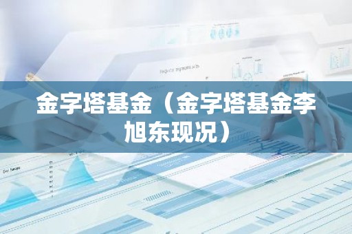 金字塔基金（金字塔基金李旭东现况）