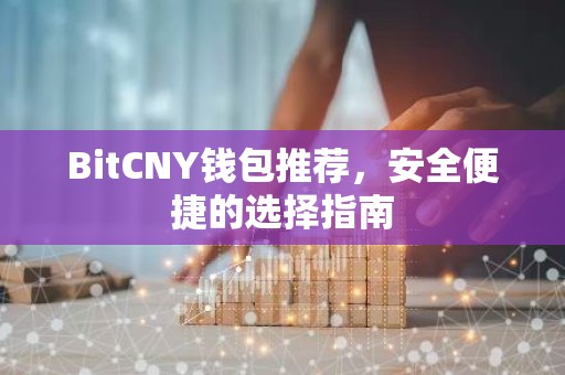 BitCNY钱包推荐，安全便捷的选择指南
