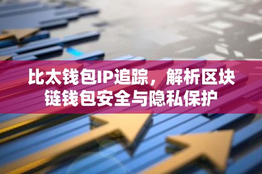 比太钱包IP追踪，解析区块链钱包安全与隐私保护