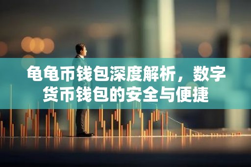 龟龟币钱包深度解析，数字货币钱包的安全与便捷