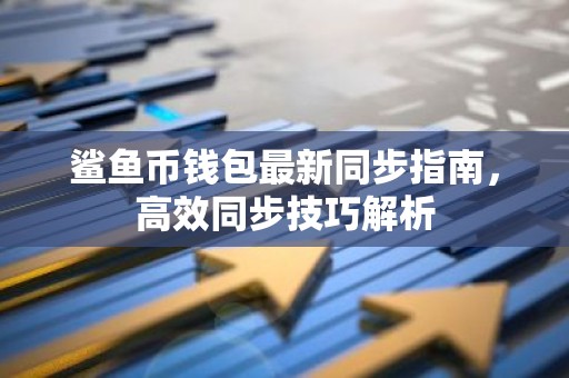 鲨鱼币钱包最新同步指南，高效同步技巧解析
