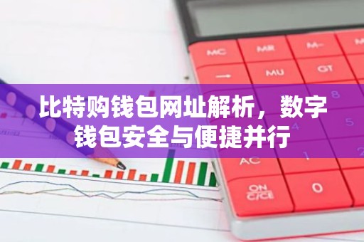 比特购钱包网址解析，数字钱包安全与便捷并行