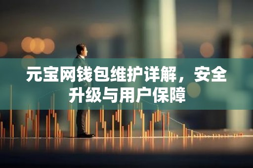 元宝网钱包维护详解，安全升级与用户保障