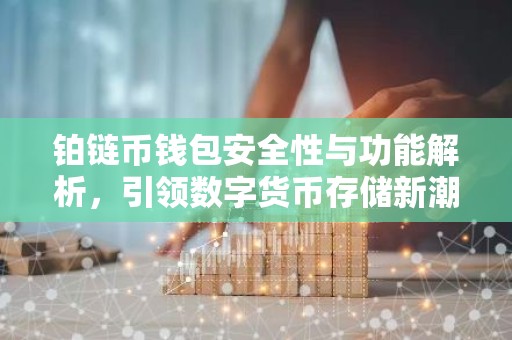 铂链币钱包安全性与功能解析，引领数字货币存储新潮流