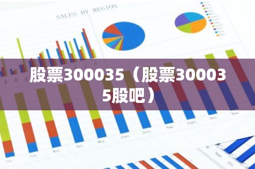 股票300035（股票300035股吧）