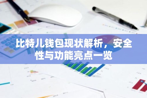 比特儿钱包现状解析，安全性与功能亮点一览