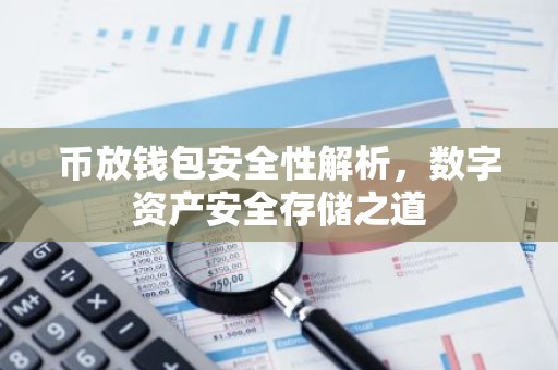 币放钱包安全性解析，数字资产安全存储之道