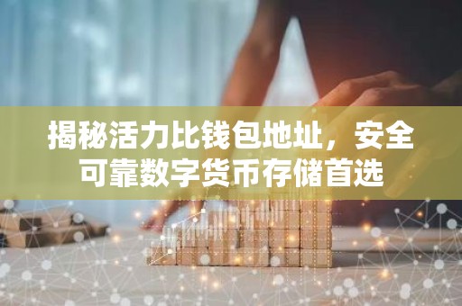 揭秘活力比钱包地址，安全可靠数字货币存储首选
