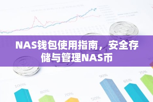 NAS钱包使用指南，安全存储与管理NAS币