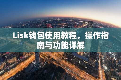 Lisk钱包使用教程，操作指南与功能详解