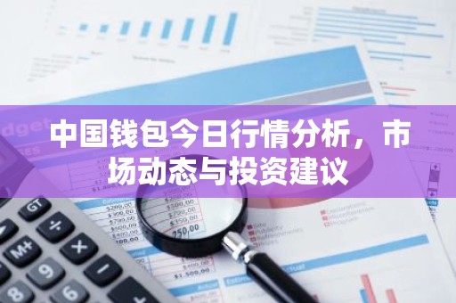 中国钱包今日行情分析，市场动态与投资建议