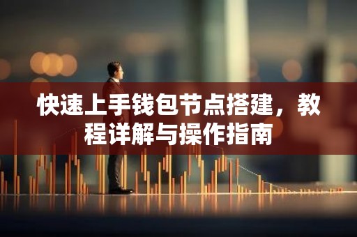 快速上手钱包节点搭建，教程详解与操作指南