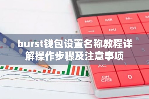 burst钱包设置名称教程详解操作步骤及注意事项