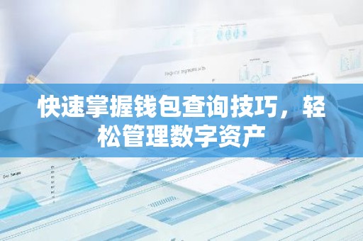 快速掌握钱包查询技巧，轻松管理数字资产