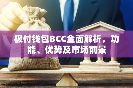 极付钱包BCC全面解析，功能、优势及市场前景