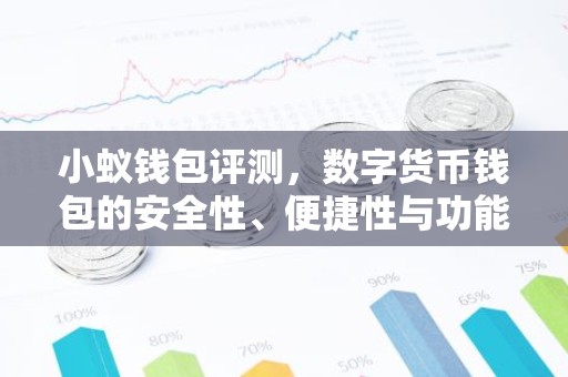 小蚁钱包评测，数字货币钱包的安全性、便捷性与功能解析
