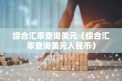 综合汇率查询美元（综合汇率查询美元人民币）