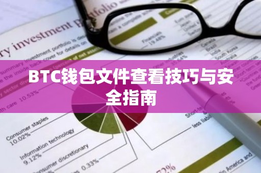 BTC钱包文件查看技巧与安全指南