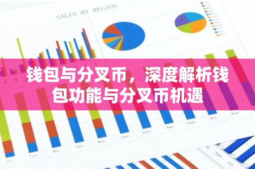 钱包与分叉币，深度解析钱包功能与分叉币机遇