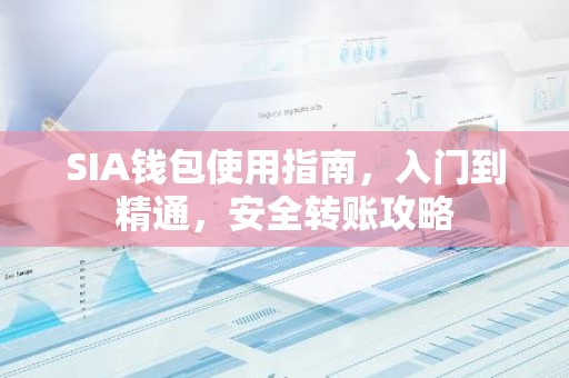 SIA钱包使用指南，入门到精通，安全转账攻略