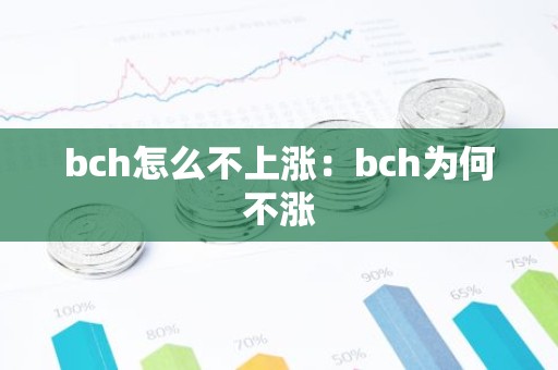 bch怎么不上涨：bch为何不涨