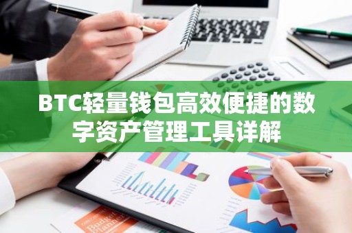 BTC轻量钱包高效便捷的数字资产管理工具详解