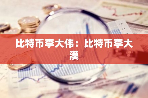 比特币李大伟：比特币李大漠