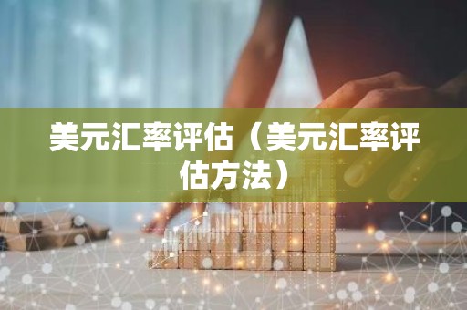 美元汇率评估（美元汇率评估方法）