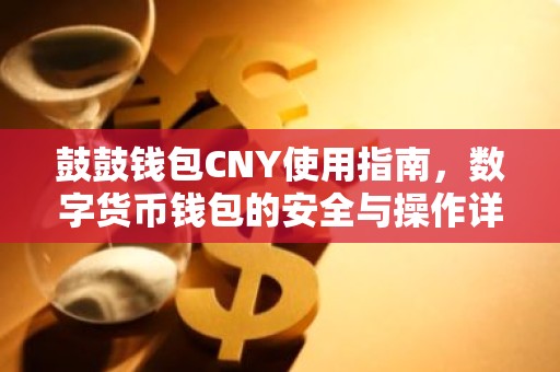鼓鼓钱包CNY使用指南，数字货币钱包的安全与操作详解