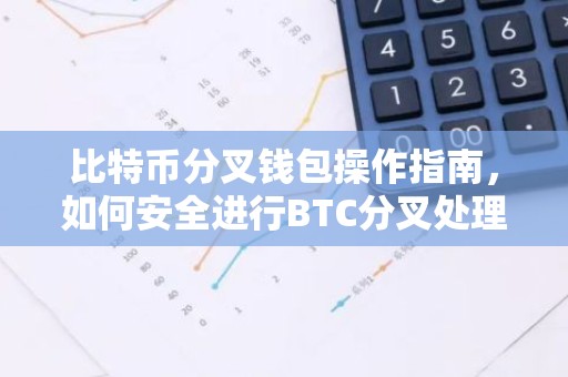 比特币分叉钱包操作指南，如何安全进行BTC分叉处理？