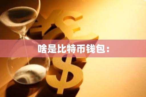 啥是比特币钱包：