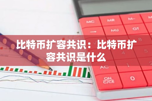 比特币扩容共识：比特币扩容共识是什么