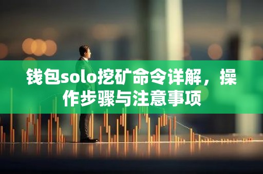 钱包solo挖矿命令详解，操作步骤与注意事项