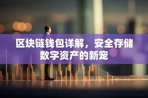 区块链钱包详解，安全存储数字资产的新宠