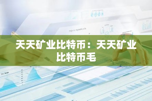 天天矿业比特币：天天矿业比特币毛