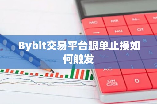 Bybit交易平台跟单止损如何触发