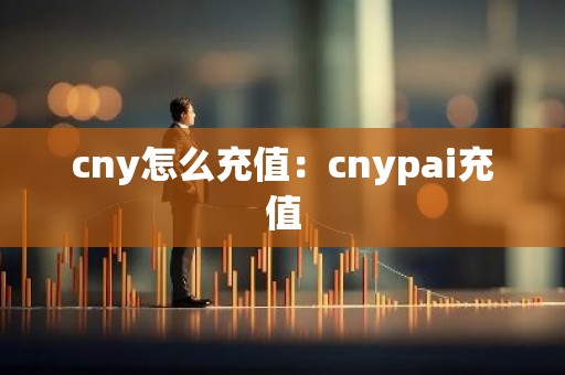 cny怎么充值：cnypai充值