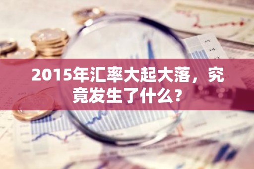 2015年汇率大起大落，究竟发生了什么？