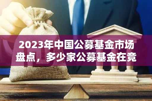 2023年中国公募基金市场盘点，多少家公募基金在竞争中崛起？