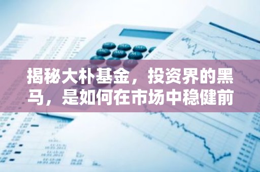 揭秘大朴基金，投资界的黑马，是如何在市场中稳健前行的？
