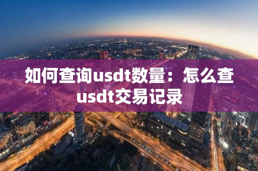 如何查询usdt数量：怎么查usdt交易记录
