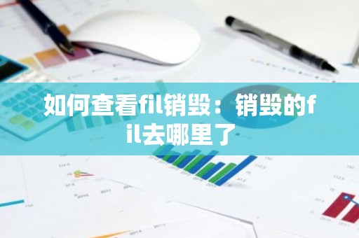 如何查看fil销毁：销毁的fil去哪里了