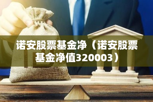 诺安股票基金净（诺安股票基金净值320003）