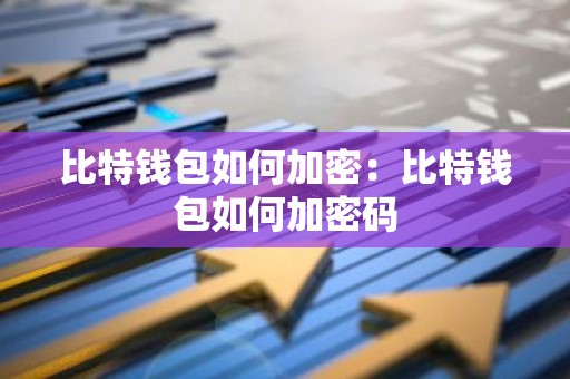 比特钱包如何加密：比特钱包如何加密码