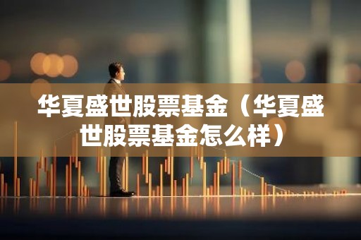 华夏盛世股票基金（华夏盛世股票基金怎么样）